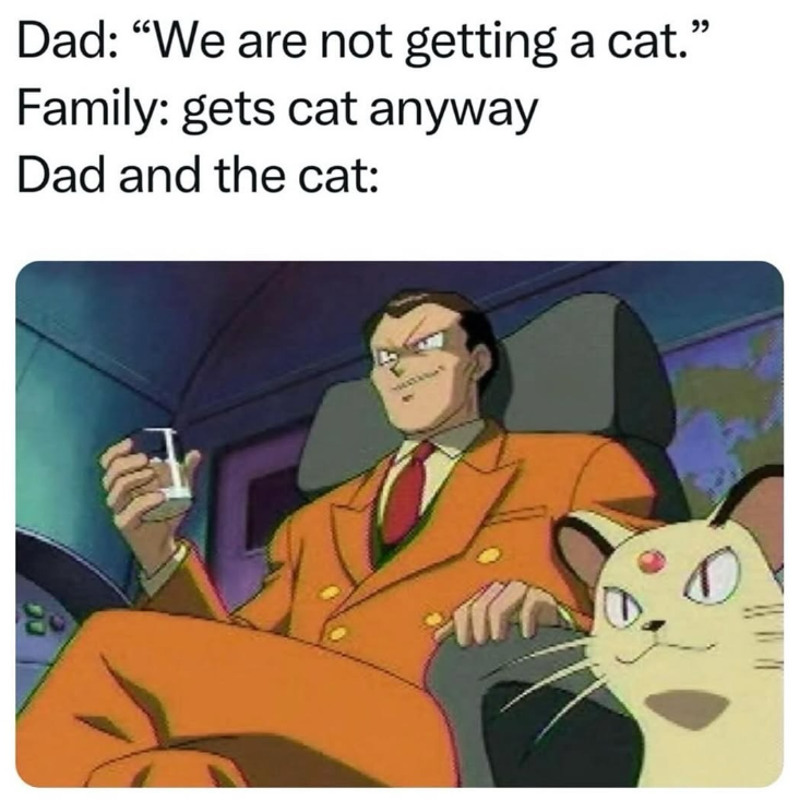 Dad: "We are not getting a cat.' Family: gets cat anyway Dad and the cat: