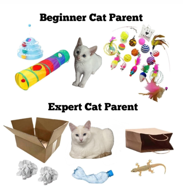 Beginner Cat Parent CATNIP Expert Cat Parent