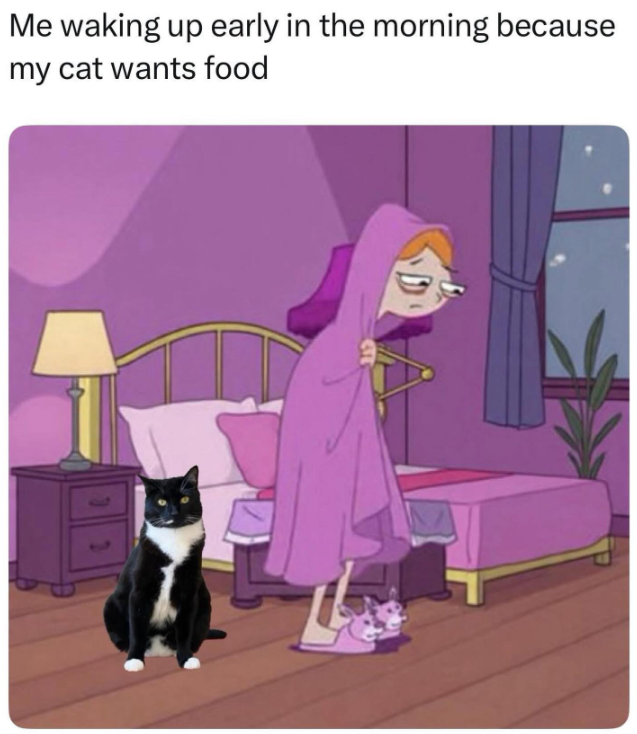 Me waking up early in the morning because my cat wants food