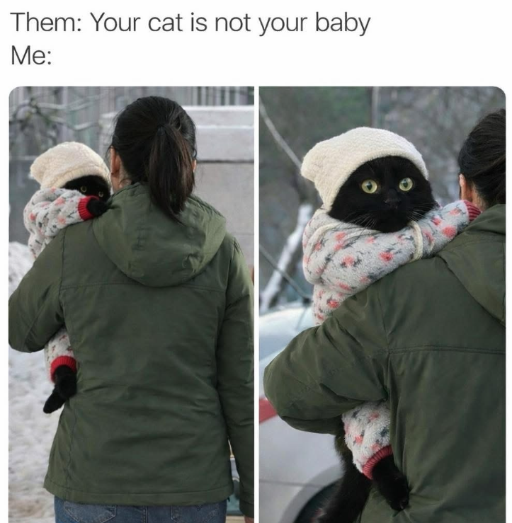 Them: Your cat is not your baby Me: