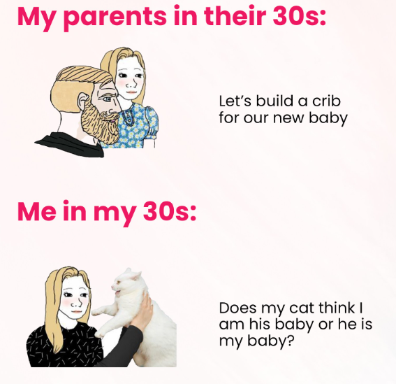My parents in their 30s: Me in my 30s: Let's build a crib for our new baby Does my cat think I am his baby or he is my baby?