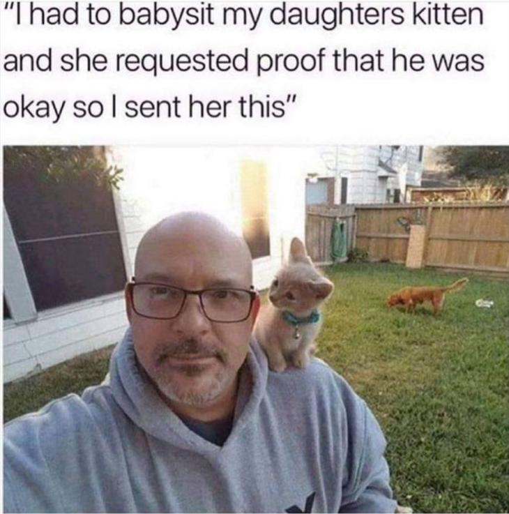 "I had to babysit my daughters kitten and she requested proof that he was okay so I sent her this"