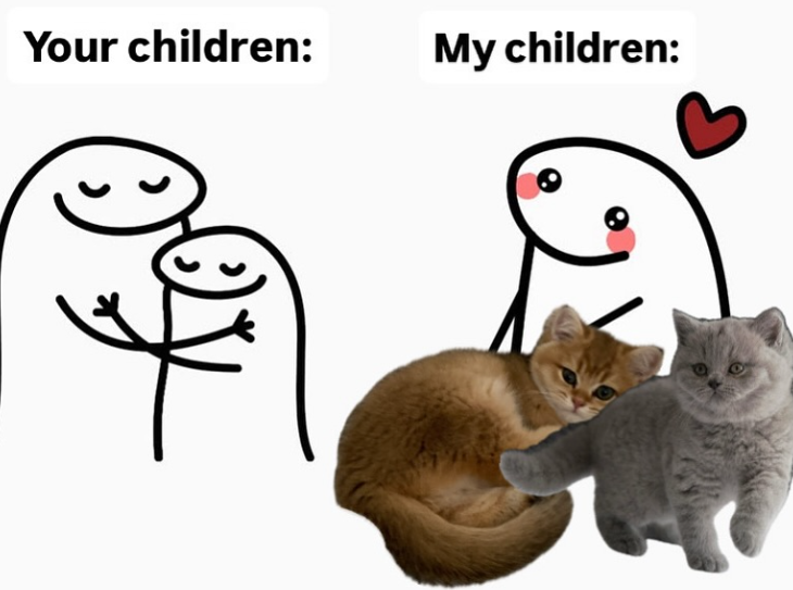 Your children: My children: