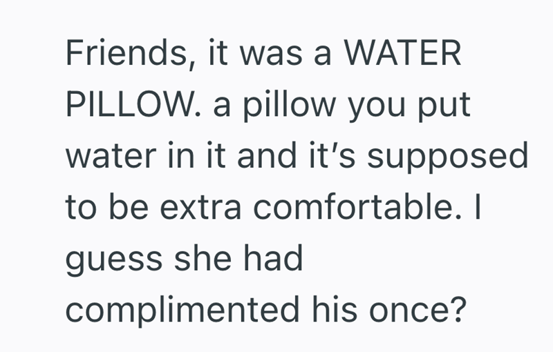 Friends, it was a WATER PILLOW. a pillow you put water in it and it's supposed to be extra comfortable. I guess she had complimented his once?