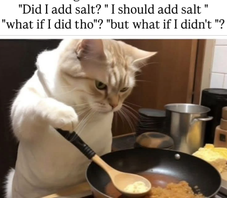 "Did I add salt? "I should add salt " "what if I did tho"? "but what if I didn't "?