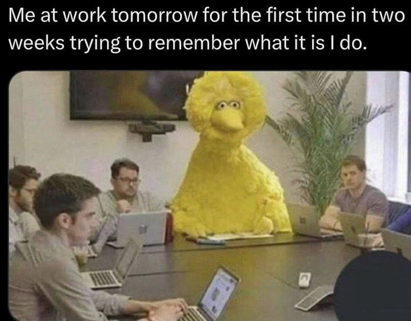 Me at work tomorrow for the first time in two weeks trying to remember what it is I do.