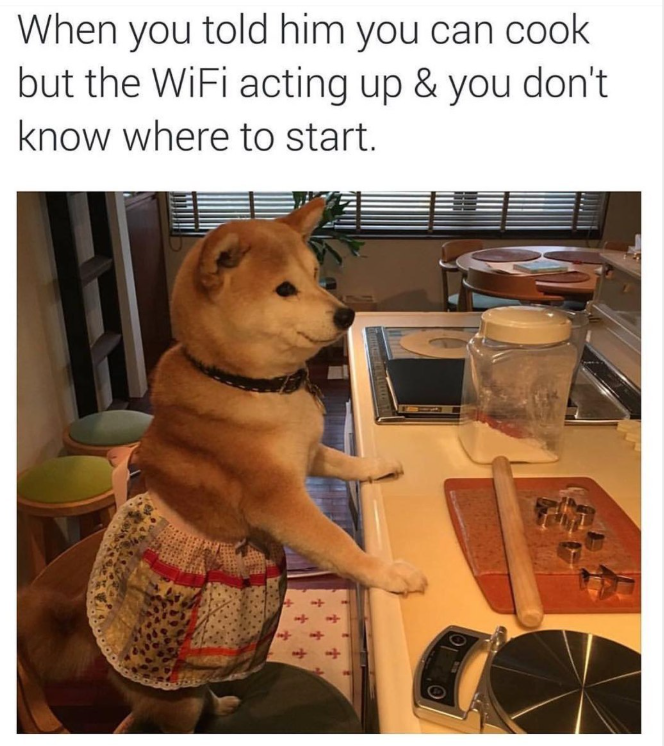 When you told him you can cook but the WiFi acting up & you don't know where to start.