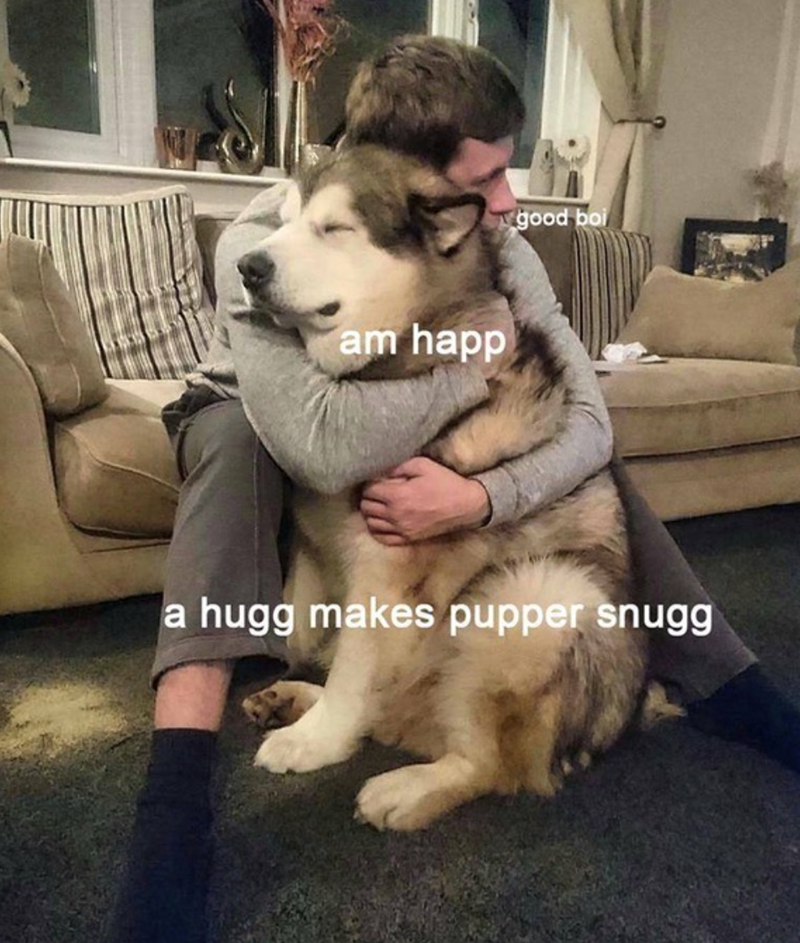 am happ good boi a hugg makes pupper snugg
