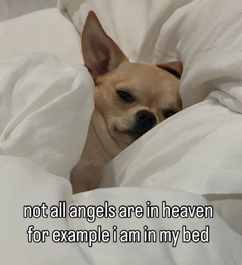 not all angels are in heaven for example i am in my bed