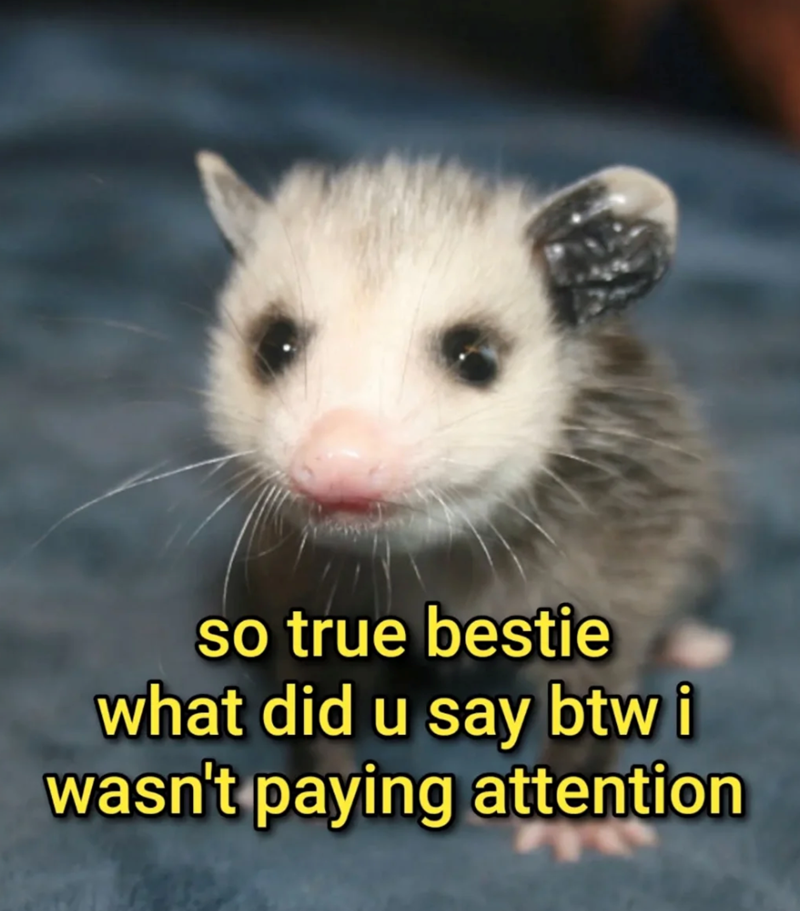 so true bestie what did u say btw i wasn't paying attention