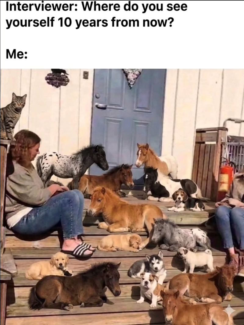 Interviewer: Where do you see yourself 10 years from now? Me: