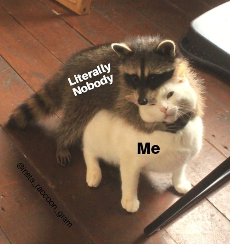 Literally Nobody @insta_raccoon_gram Me