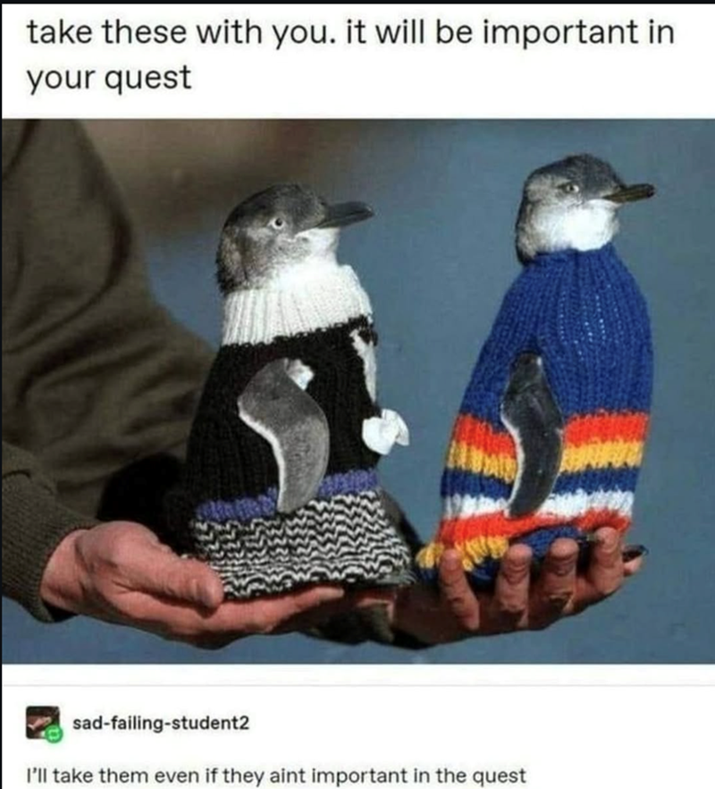 take these with you. it will be important in your quest sad-failing-student2 I'll take them even if they aint important in the quest