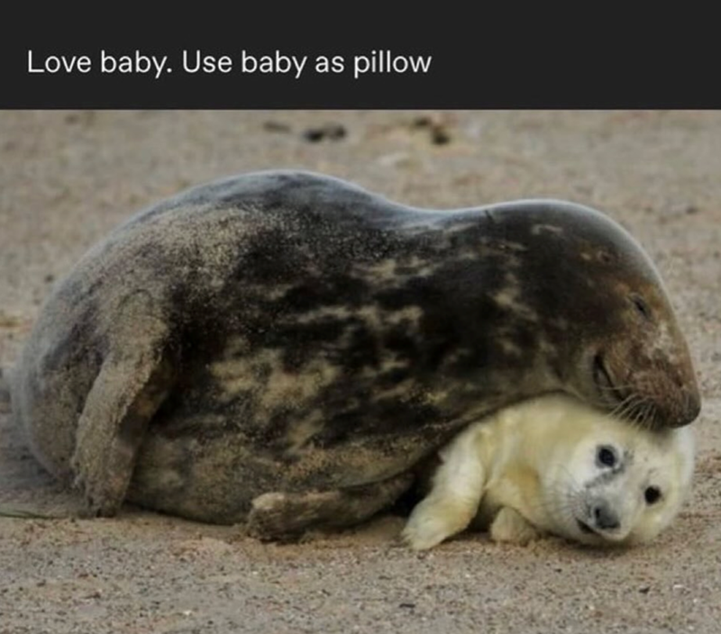 Love baby. Use baby as pillow