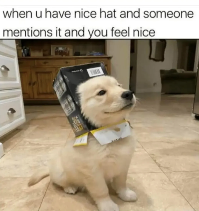 ALY6PK when u have nice hat and someone mentions it and you feel nice