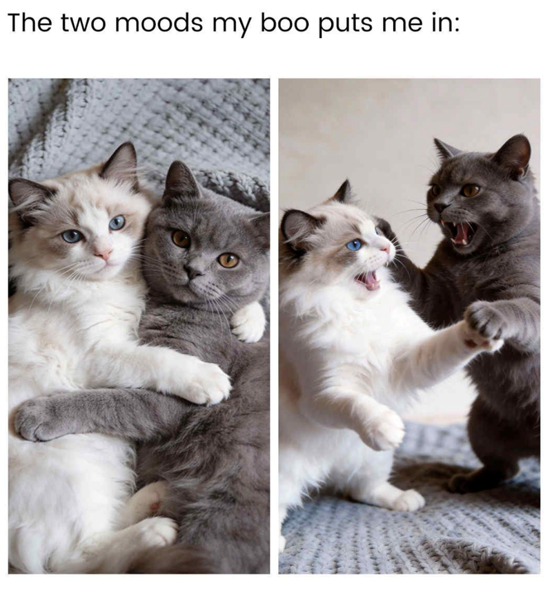 The two moods my boo puts me in: