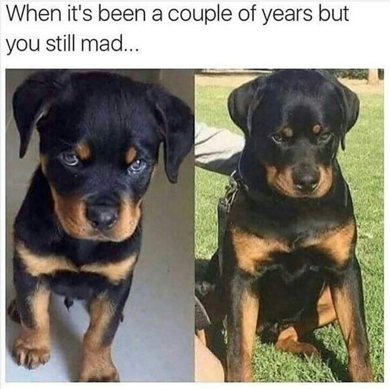When it's been a couple of years but you still mad...