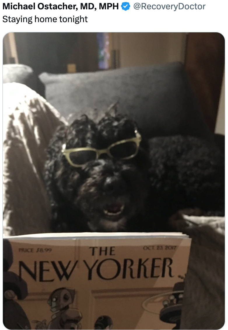Michael Ostacher, MD, MPH Staying home tonight @RecoveryDoctor PRICE £8.99 THE OCT 23 2017 NEW YORKER