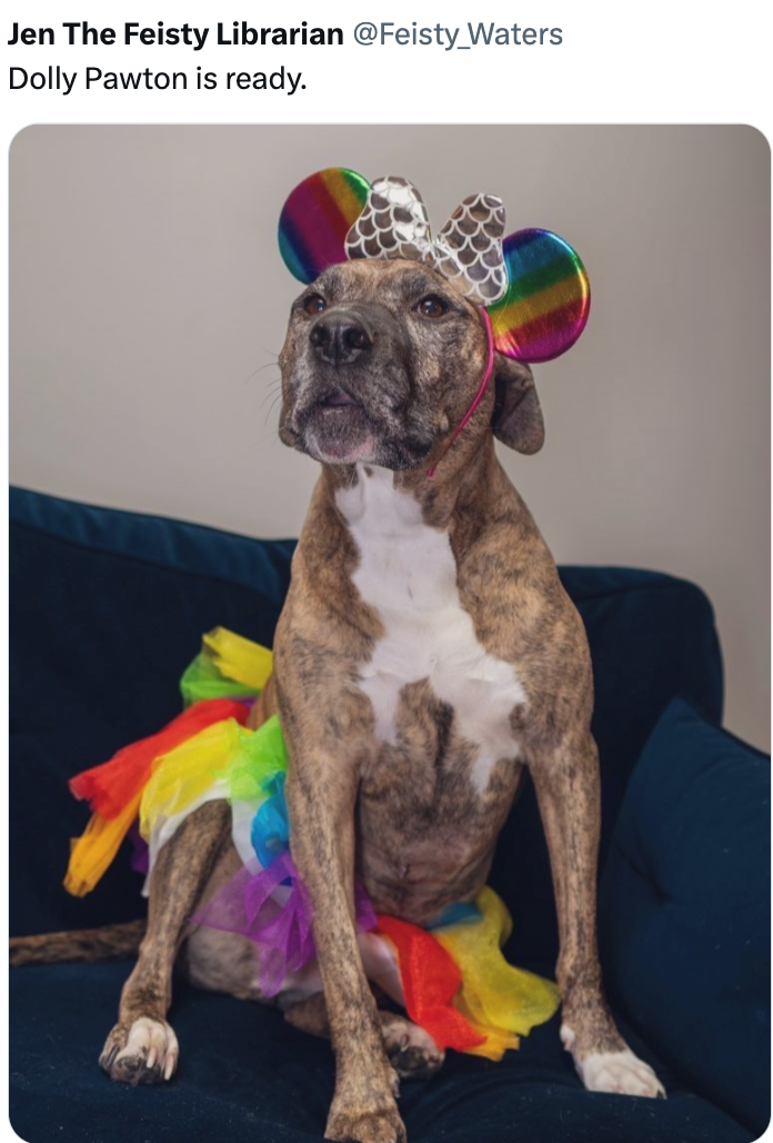 Jen The Feisty Librarian @Feisty Waters Dolly Pawton is ready.