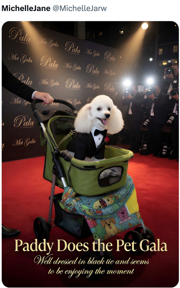 MichelleJane @MichelleJarw Pala Na Gale Pala Map Pale Met Gala Pala Ma Gala Pala M Pala Ma Gala Pala Mala Pala Met Y Pala Met Gala Paddy Does the Pet Gala Well dressed in black tie and seems to be enjoying the moment