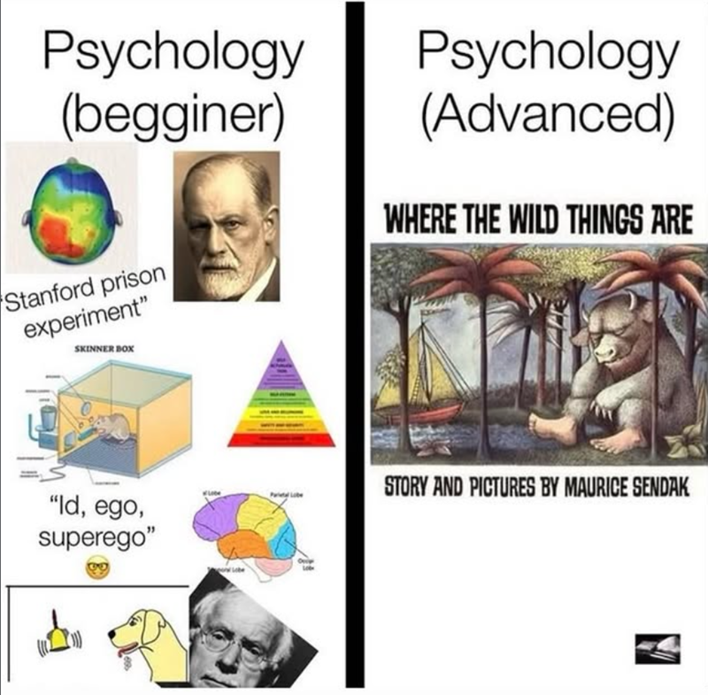 Psychology (begginer) Stanford prison experiment" SKINNER BOX Psychology (Advanced) WHERE THE WILD THINGS ARE "Id, ego, superego" STORY AND PICTURES BY MAURICE SENDAK