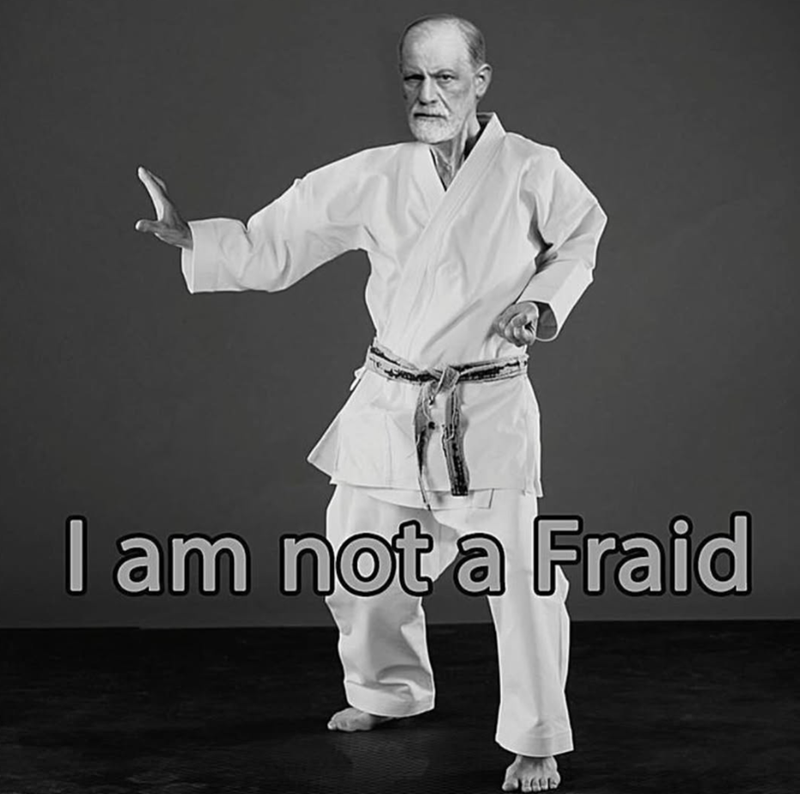 I am not a Fraid