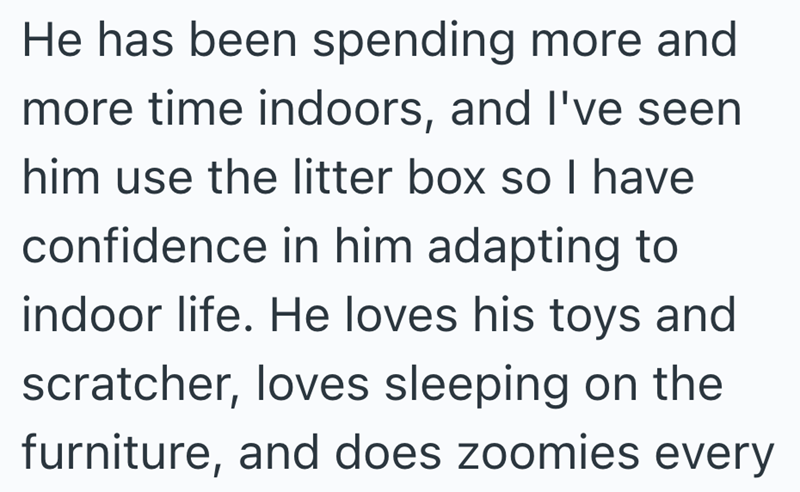 He has been spending more and more time indoors, and I've seen him use the litter box so I have confidence in him adapting to indoor life. He loves his toys and scratcher, loves sleeping on the furniture, and does zoomies every