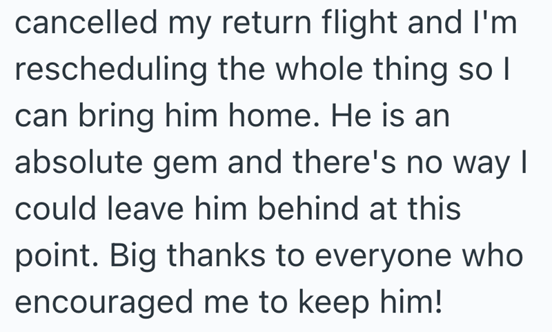 cancelled my return flight and I'm rescheduling the whole thing so I can bring him home. He is an absolute gem and there's no way I could leave him behind at this point. Big thanks to everyone who encouraged me to keep him!