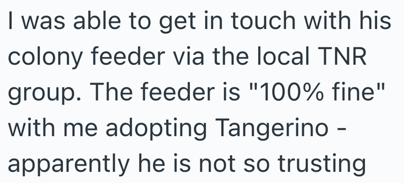 I was able to get in touch with his colony feeder via the local TNR group. The feeder is "100% fine" with me adopting Tangerino - apparently he is not so trusting