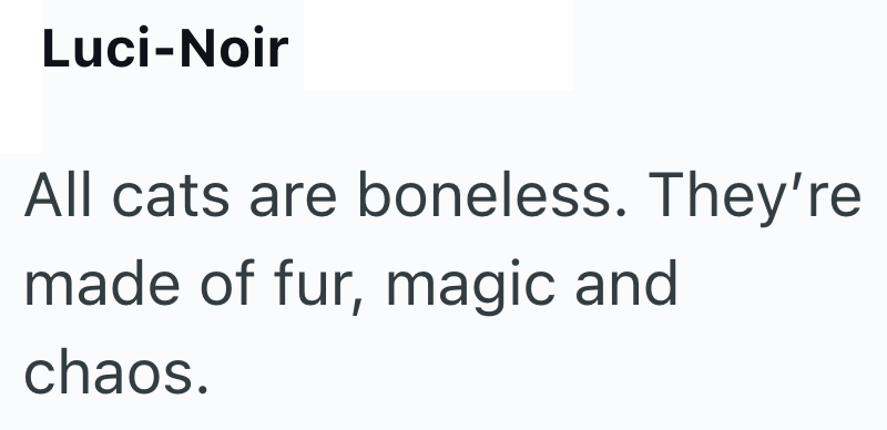 Luci-Noir All cats are boneless. They're made of fur, magic and chaos.