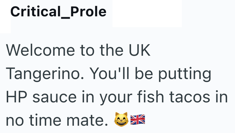 Critical_Prole Welcome to the UK Tangerino. You'll be putting HP sauce in your fish tacos in no time mate. C