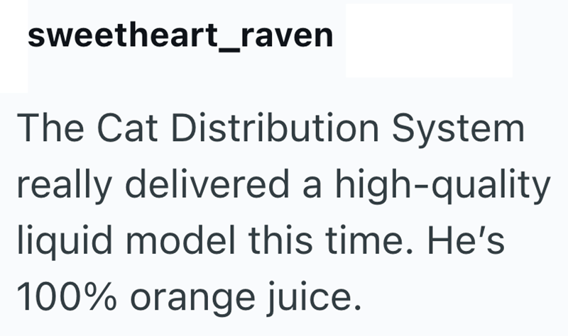 sweetheart_raven The Cat Distribution System really delivered a high-quality liquid model this time. He's 100% orange juice.
