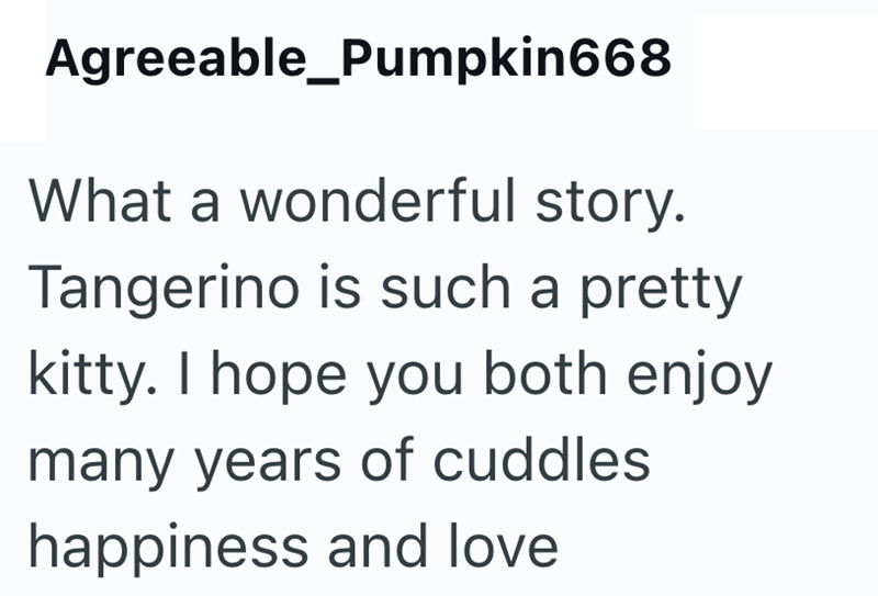 Agreeable_Pumpkin668 What a wonderful story. Tangerino is such a pretty kitty. I hope you both enjoy many years of cuddles happiness and love