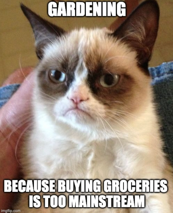GARDENING BECAUSE BUYING GROCERIES IS TOO MAINSTREAM imgflip.com