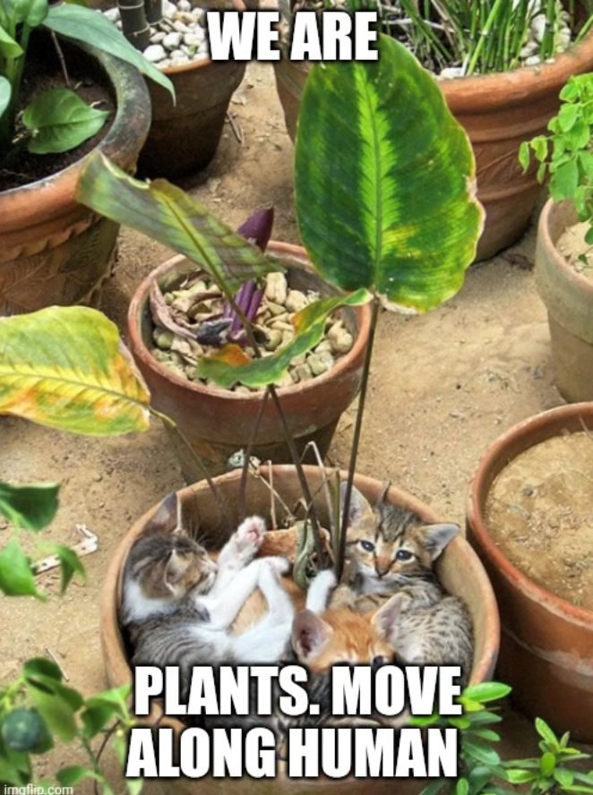 imgflip.com WE ARE PLANTS. MOVE ALONG HUMAN