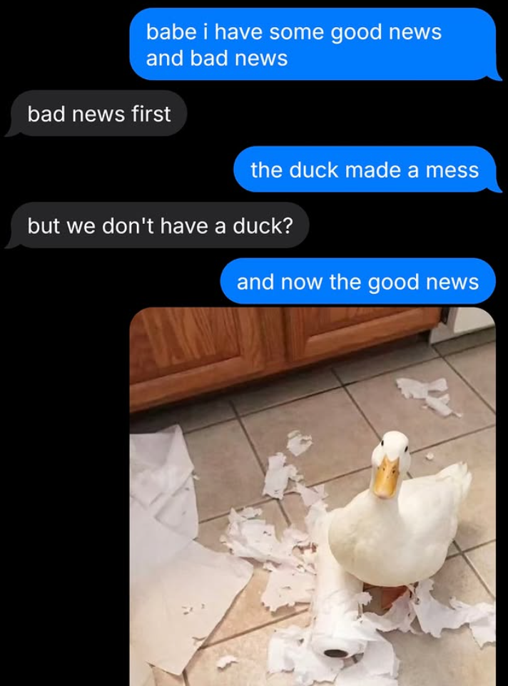 babe i have some good news and bad news bad news first the duck made a mess but we don't have a duck? and now the good news