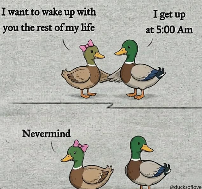 I want to wake up with I get up you the rest of my life at 5:00 Am Nevermind @ducksoflove