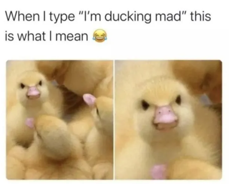 When I type "I'm ducking mad" this is what I mean