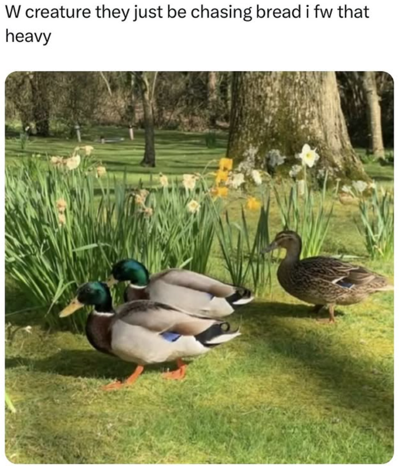 W creature they just be chasing bread i fw that heavy