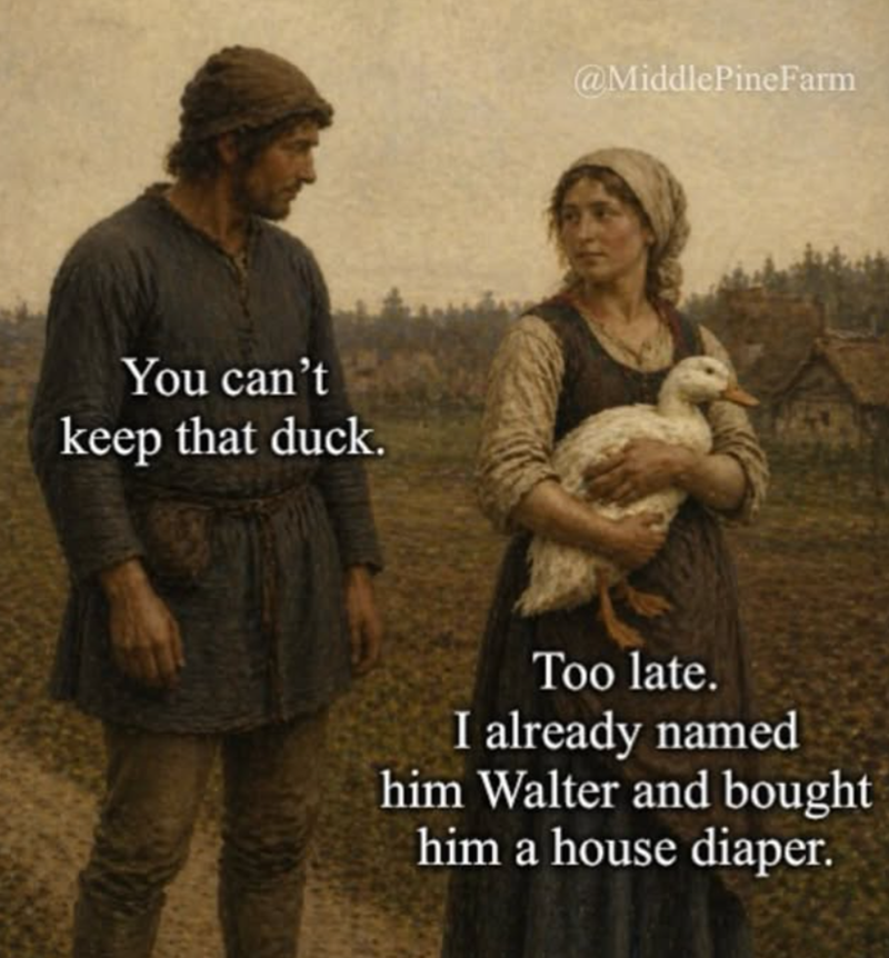 You can't keep that duck. @Middle PineFarm Too late. I already named him Walter and bought him a house diaper.
