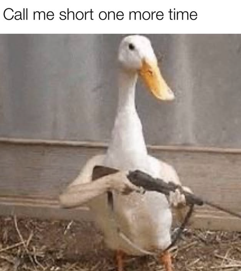 Call me short one more time