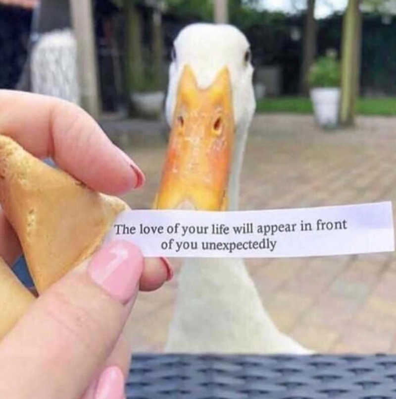 The love of your life will appear in front of you unexpectedly