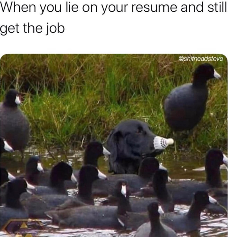 When you lie on your resume and still get the job @shitheadsteve