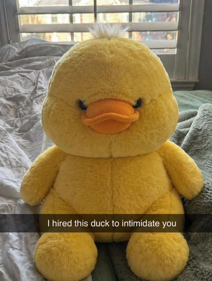I hired this duck to intimidate you