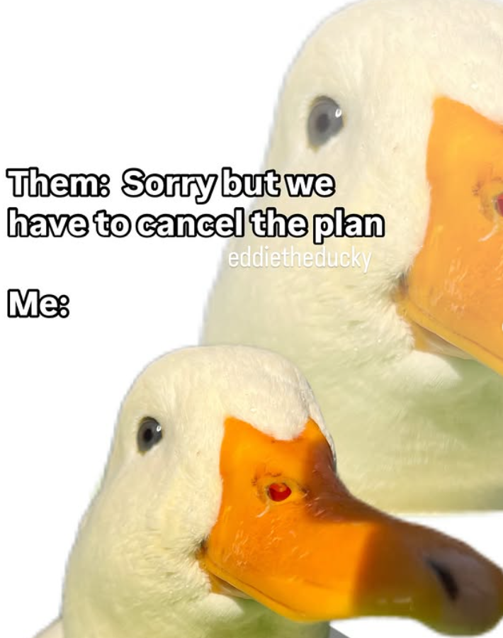 Them: Sorry but we have to cancel the plan eddietheducky Me: