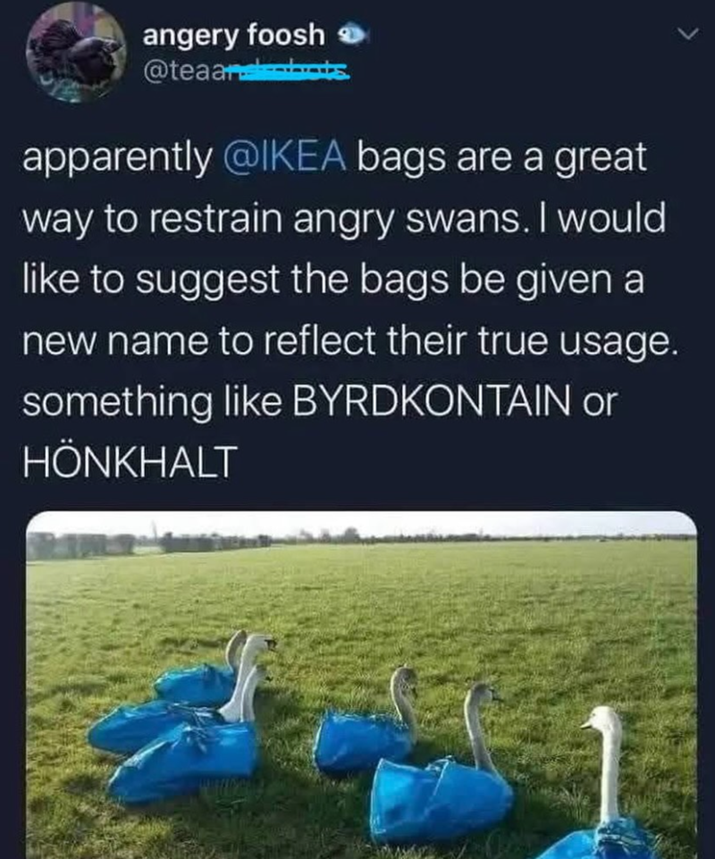 angery foosh @teaandts apparently @IKEA bags are a great way to restrain angry swans. I would like to suggest the bags be given a new name to reflect their true usage. something like BYRDKONTAIN or HÖNKHALT