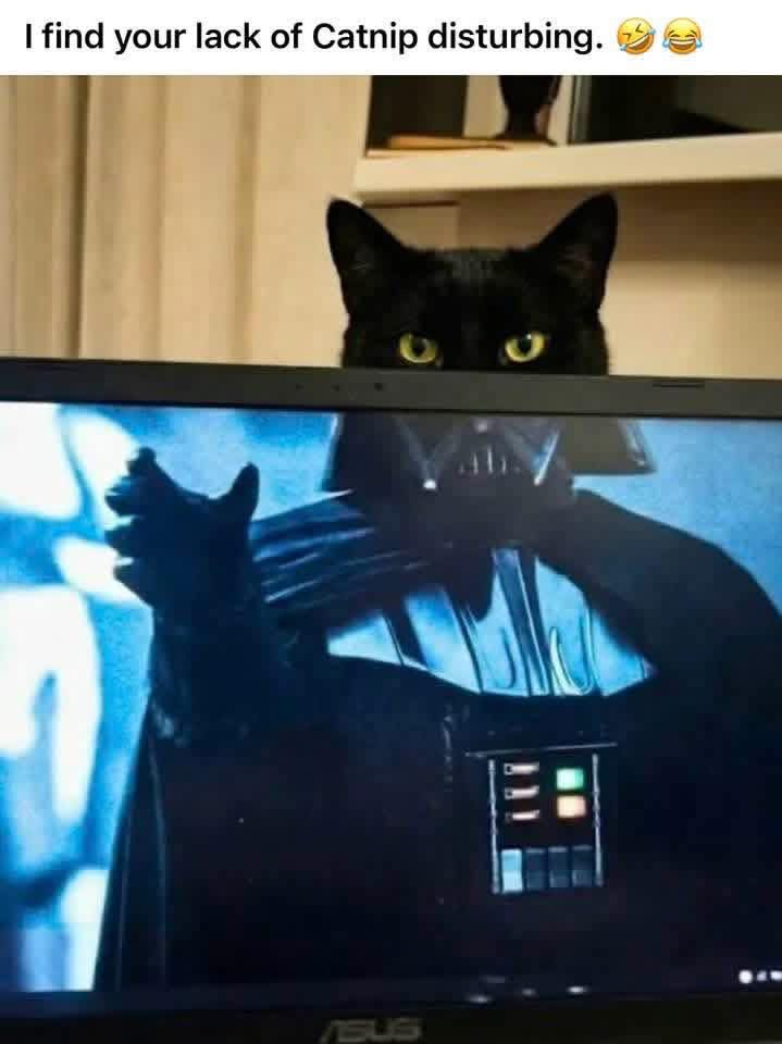 I find your lack of Catnip disturbing. ASUS