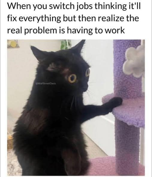 When you switch jobs thinking it'll fix everything but then realize the real problem is having to work WallStreetCasis