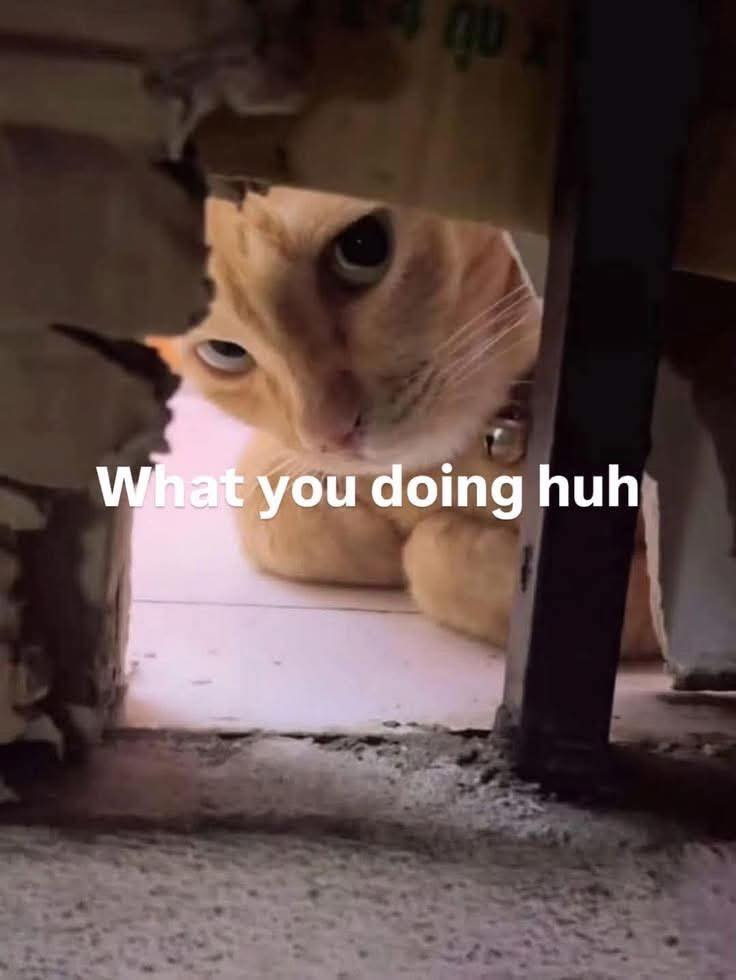 What you doing huh
