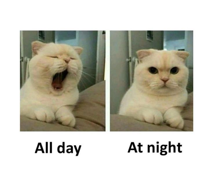 All day At night